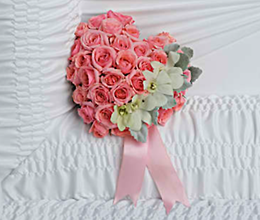 Beautiful Memories Collection