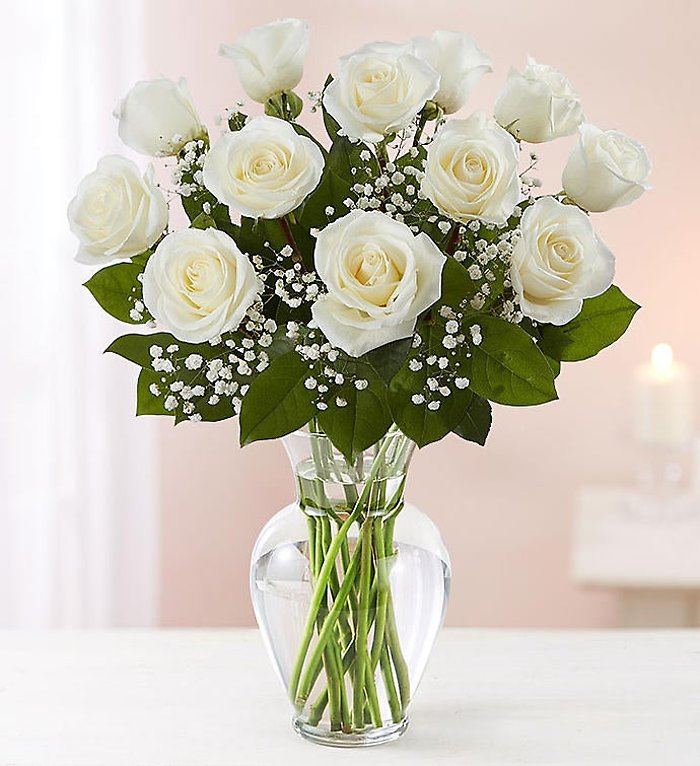 Rose Elegance&trade; Premium Long Stem White Roses