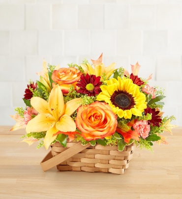 Fields of Europe&reg; for Fall Basket