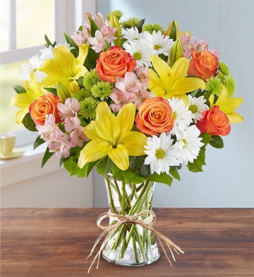 Fields of Europe&reg; For Sympathy