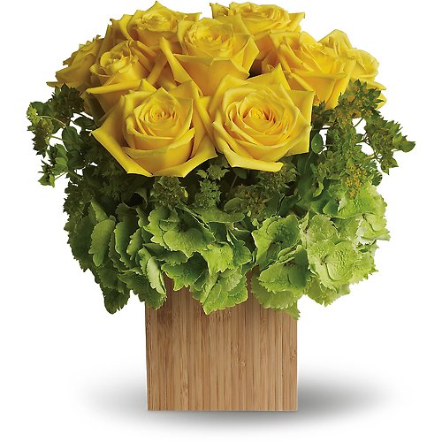 Box of Sunshine
