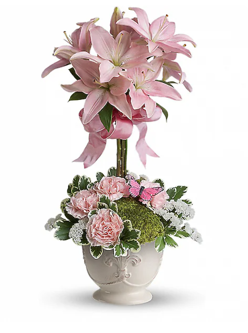 Blushing Lilies