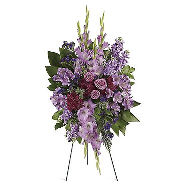 Lavender Tribute Collection