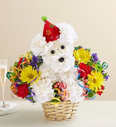 Another Year Rover&trade;