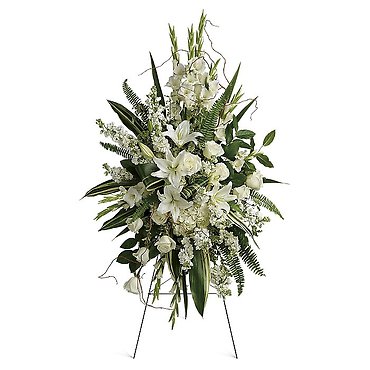 Grandest Glory Collection