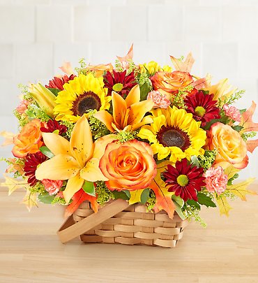 Fields of Europe&reg; for Fall Basket