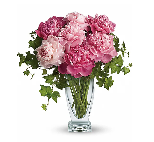 Perfect Peonies